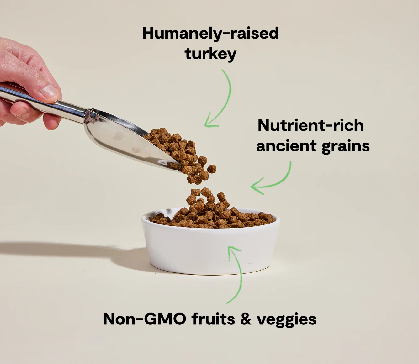 Homestead Turkey & Ancient Grains Dog Kibble - Image 4