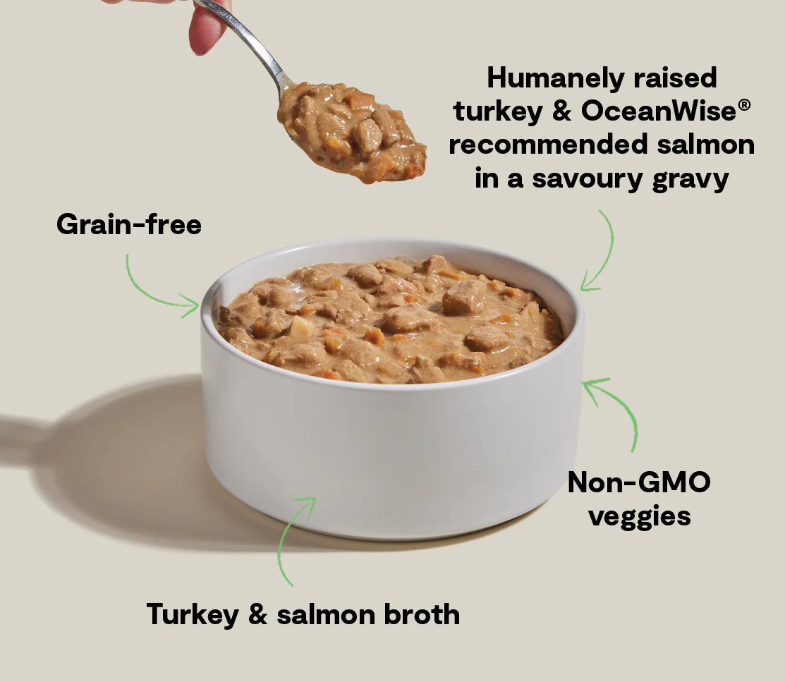 Turkey & Salmon Hearty Stew Wet Dog Food - Image 4