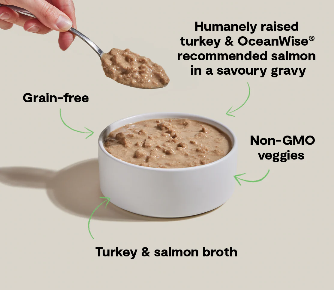 Turkey & Salmon Morsels in Gravy for Cats - Image 5