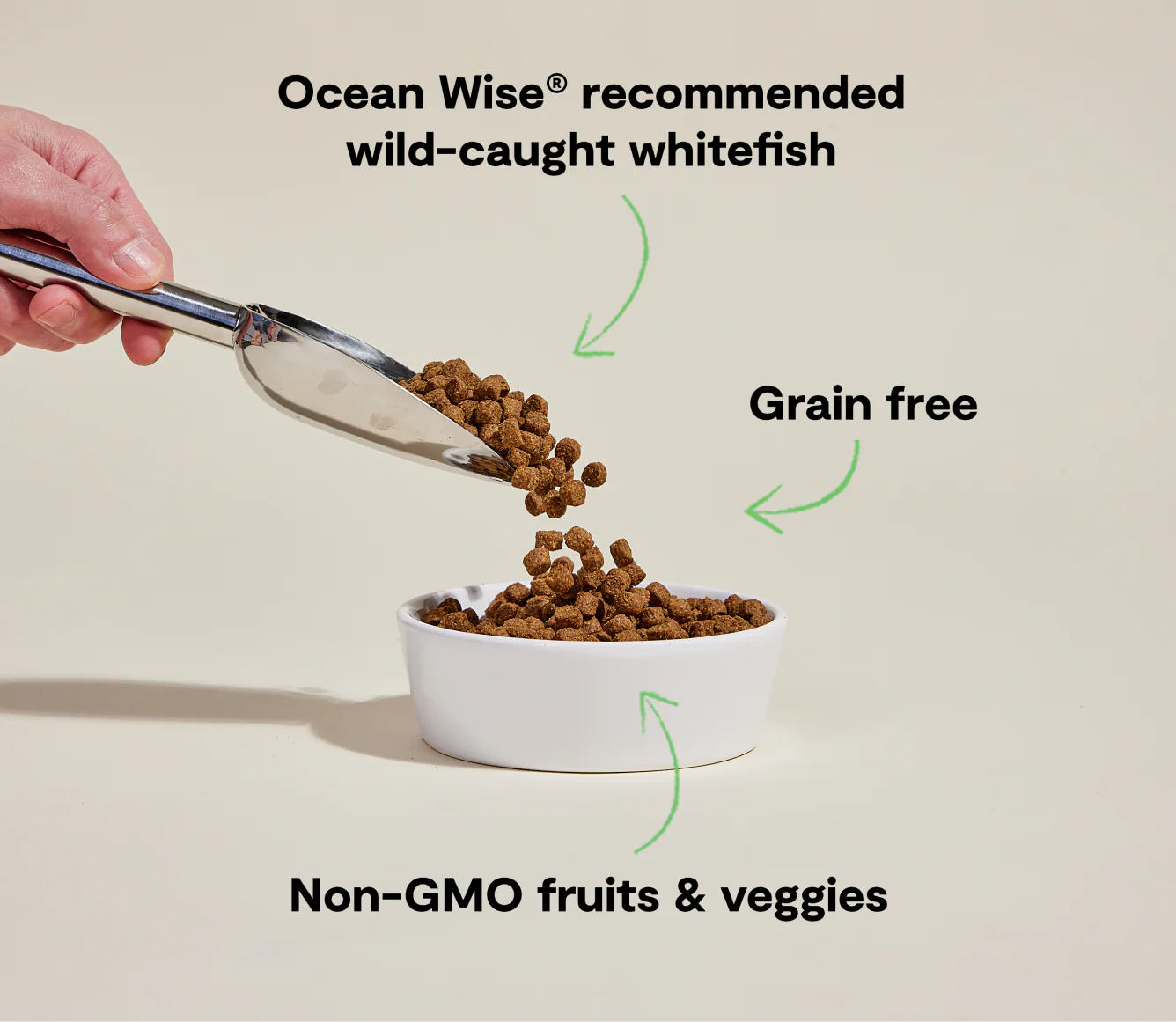 Whitefish Grain-Free Dog Kibble - Image 4