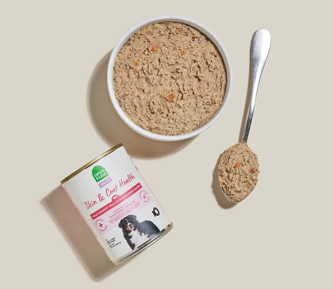 Wild-Caught Pollock & Salmon Skin & Coat Health Pâté for Dogs - Image 3