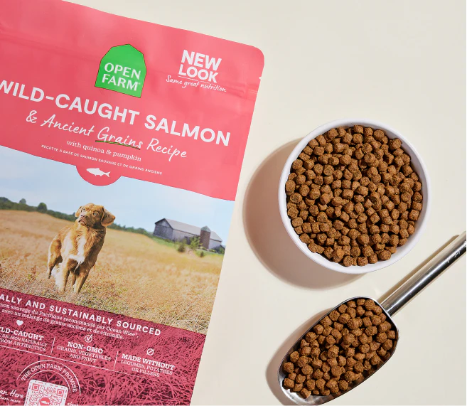 Wild-Caught Salmon & Ancient Grains Dog Kibble - Image 3