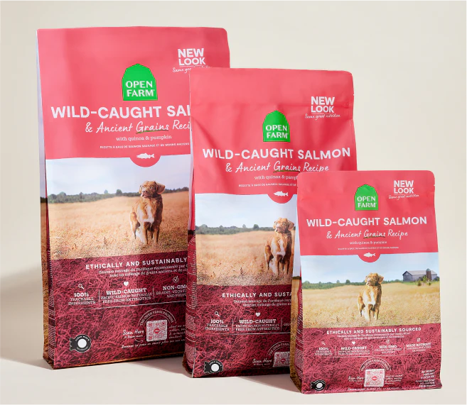 Wild-Caught Salmon & Ancient Grains Dog Kibble - Image 7