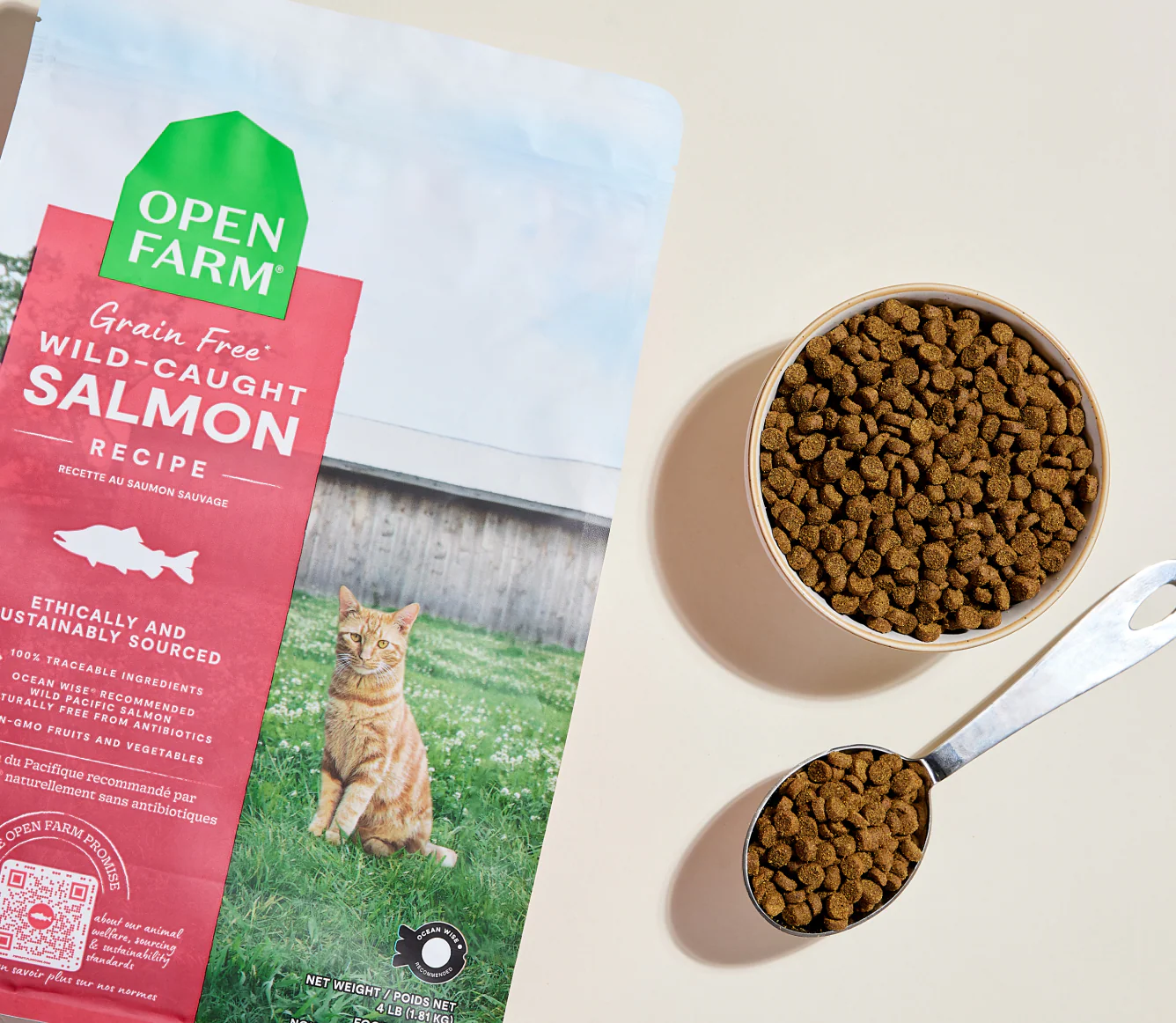 Wild-Caught Salmon Grain-Free Cat Kibble - Image 3
