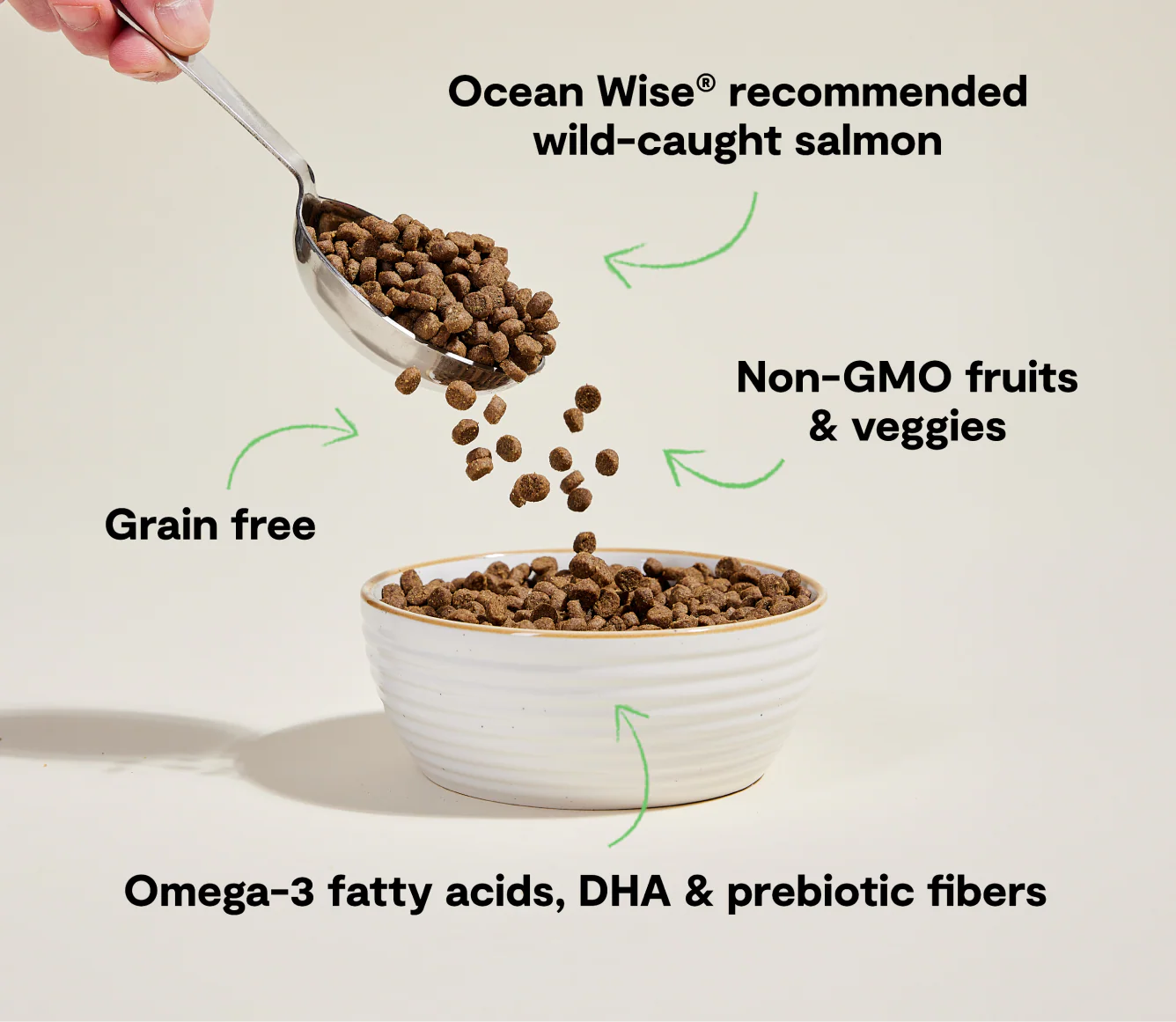 Wild-Caught Salmon Grain-Free Cat Kibble - Image 4