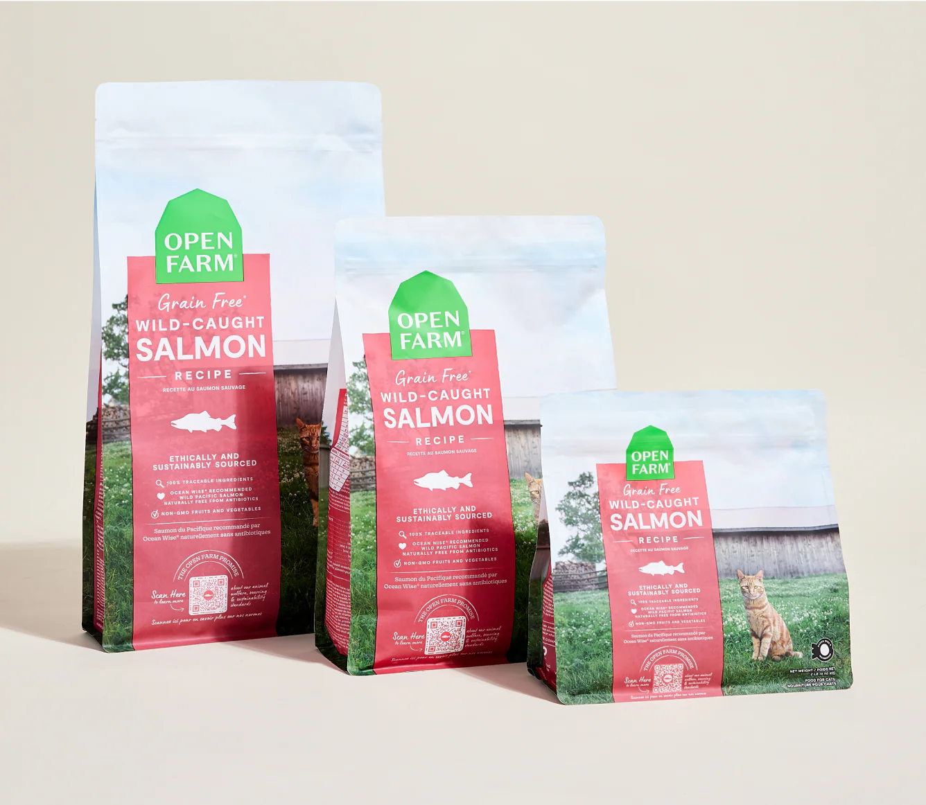 Wild-Caught Salmon Grain-Free Cat Kibble - Image 6