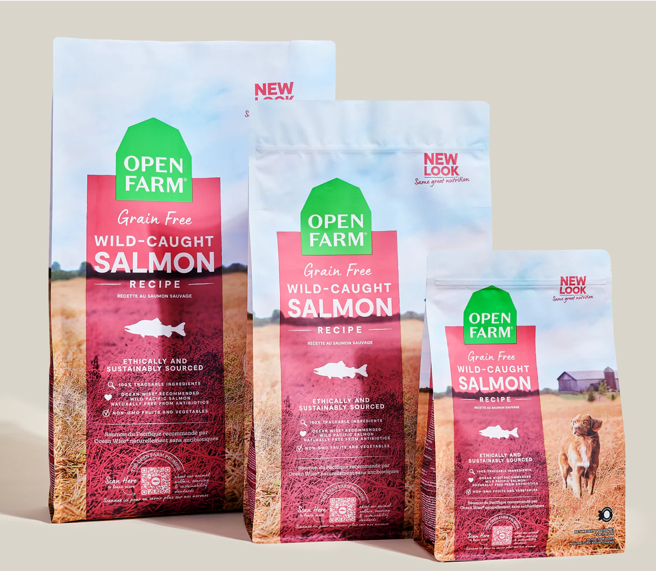 Wild-Caught Salmon Grain-Free Dog Kibble - Image 7