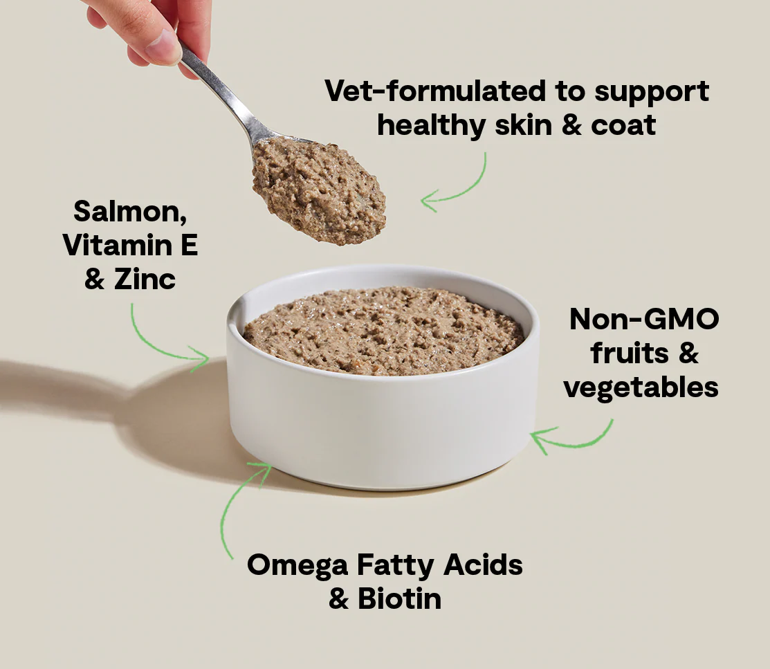 Wild-Caught Salmon Skin & Coat Health Pâté for Cats - Image 4