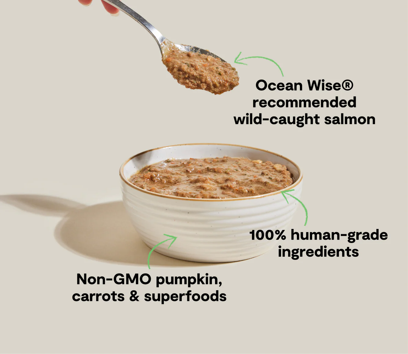 Wild-Caught Salmon Rustic Blend Wet Cat Food - Image 4