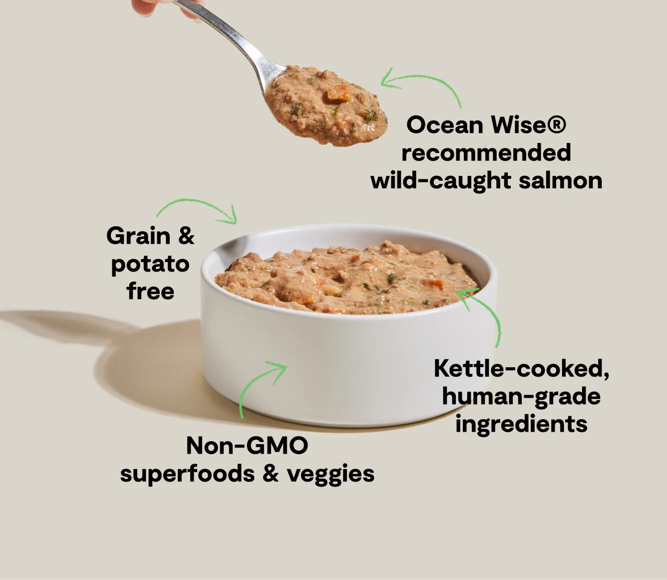 Wild-Caught Salmon Rustic Stew Wet Dog Food - Image 4