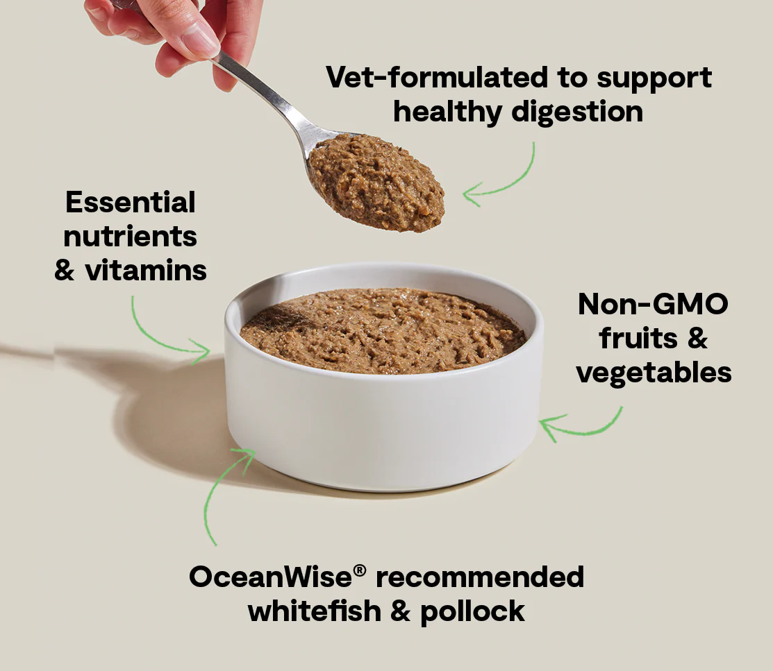 Wild-Caught Whitefish & Pollock Digestive Health Pâté for Cats - Image 4