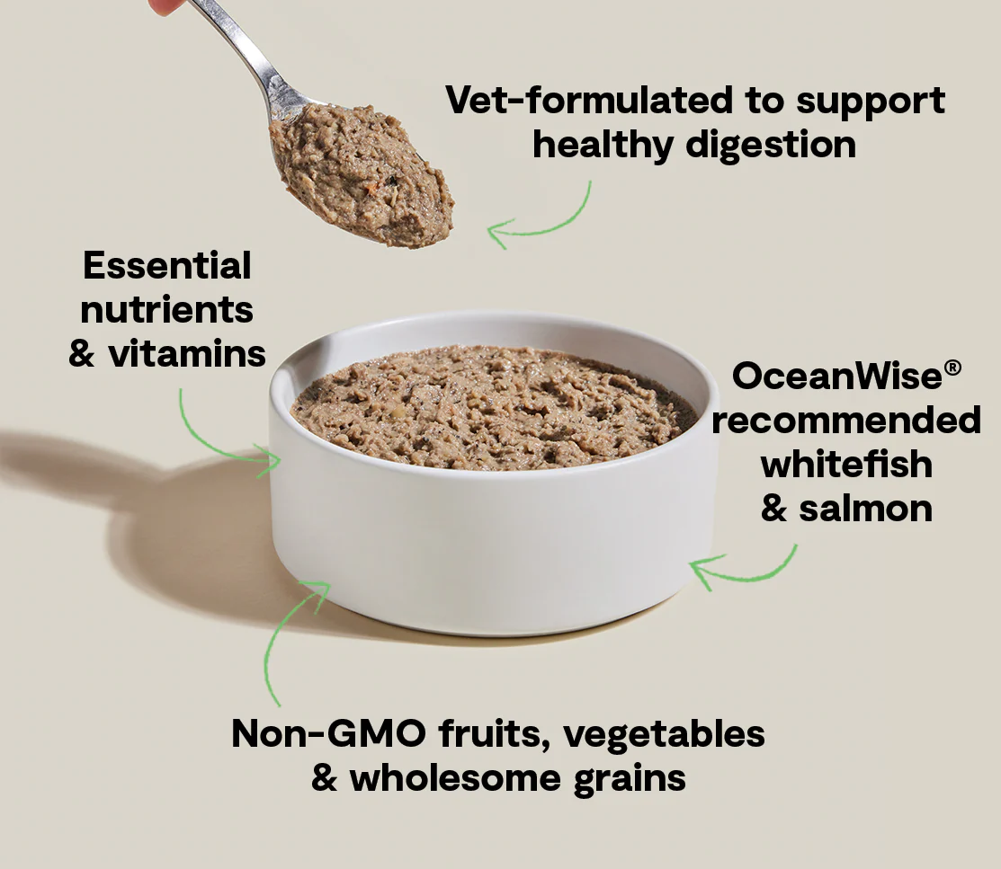 Wild-Caught Whitefish & Pollock Digestive Health Pâté for Dogs - Image 4