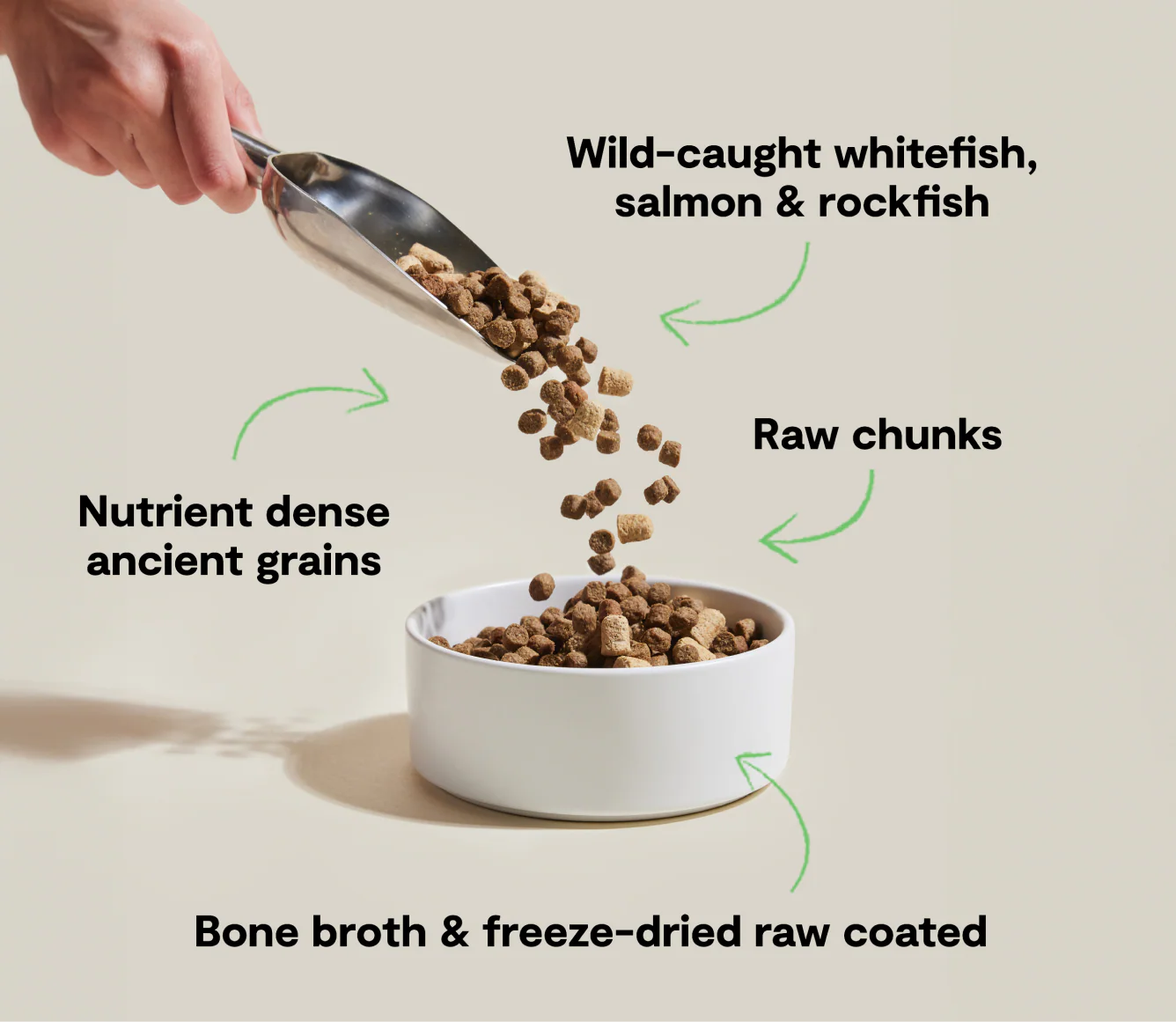 RawMix Wild Ocean Ancient Grains Dog Kibble - Image 4
