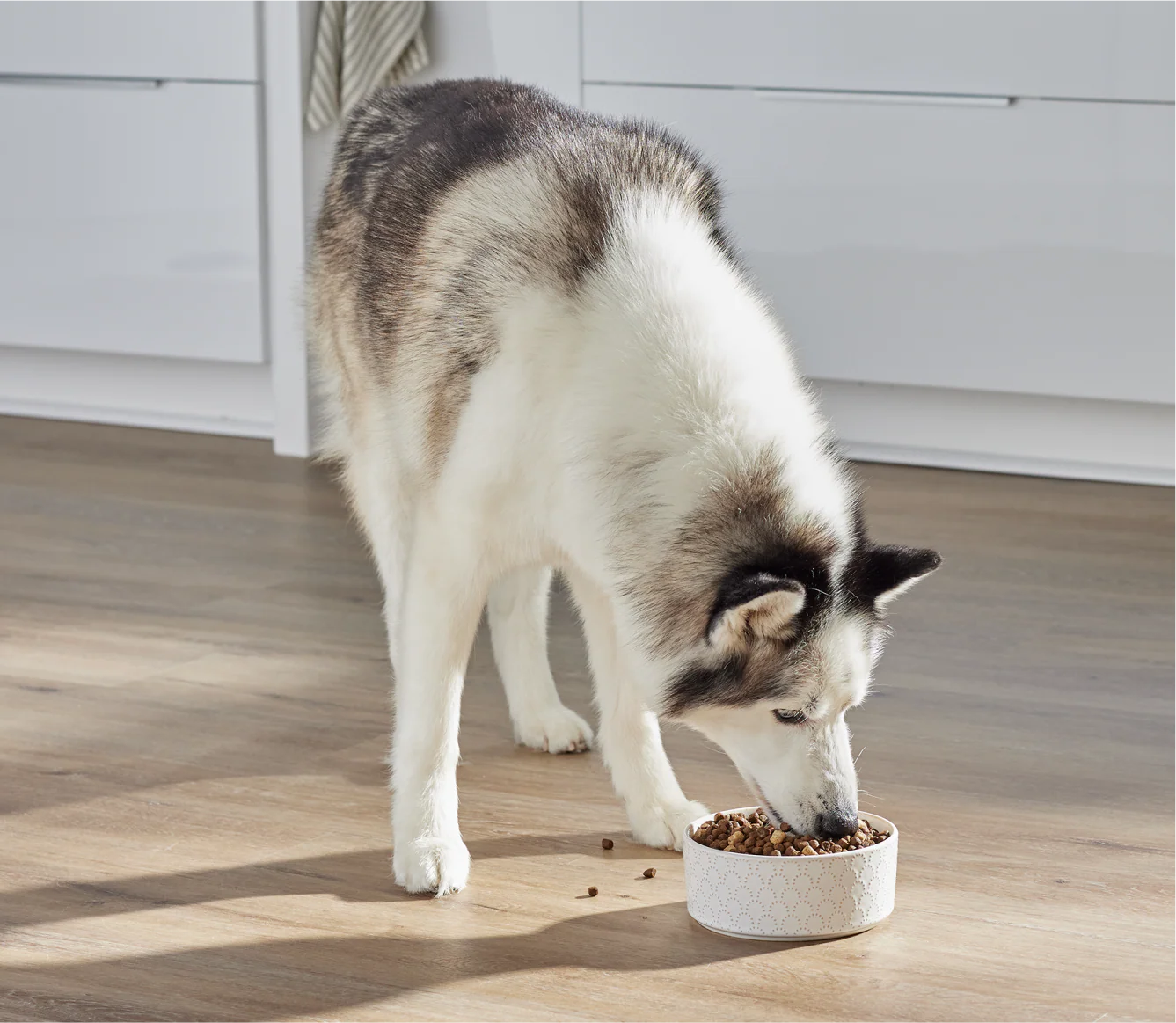 RawMix Front Range Ancient Grains Dog Kibble - Image 5